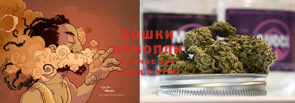 сатива Лагань