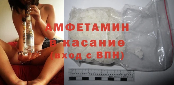 прущие грибы Лабытнанги