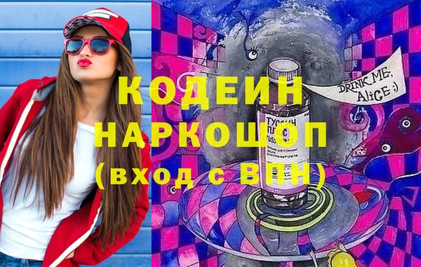 прущие грибы Лабытнанги