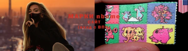 прущие грибы Лабытнанги
