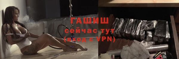 прущие грибы Лабытнанги