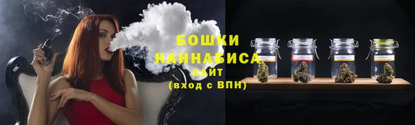 прущие грибы Лабытнанги