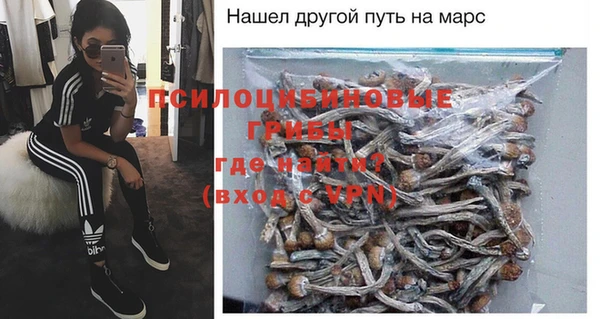 прущие грибы Лабытнанги