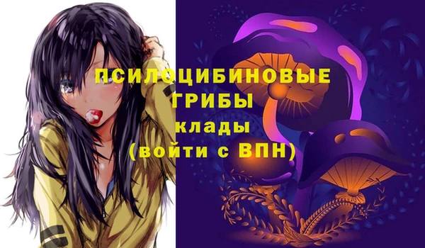 винт Лиски
