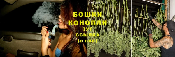 прущие грибы Лабытнанги