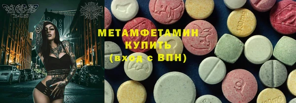 прущие грибы Лабытнанги