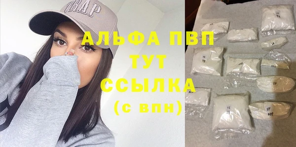 прущие грибы Лабытнанги